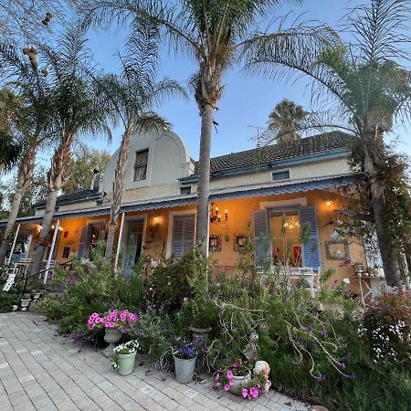 Yellow Aloe Clanwilliam Exterior photo