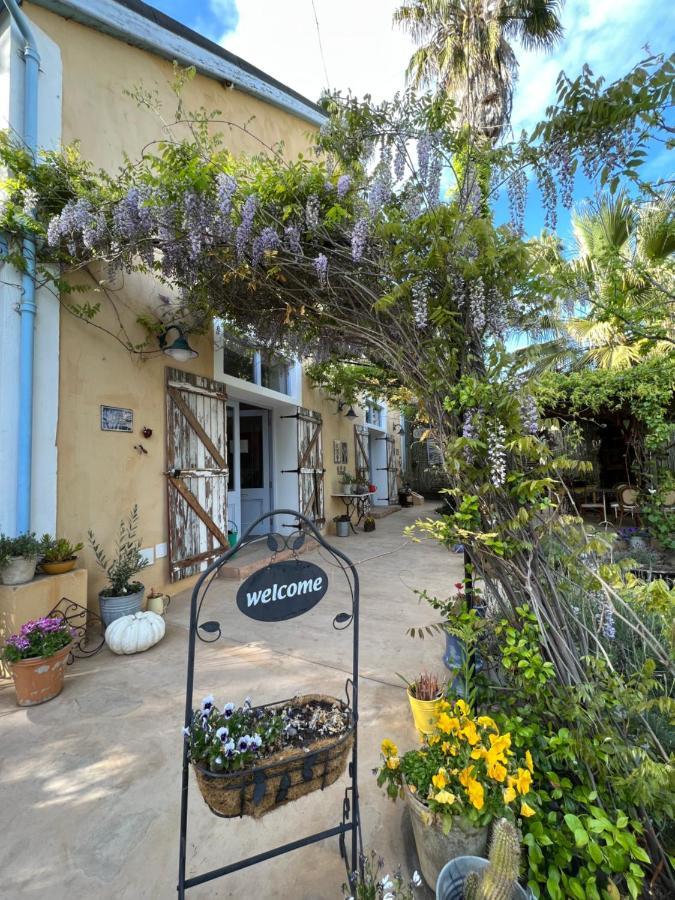 Yellow Aloe Clanwilliam Exterior photo